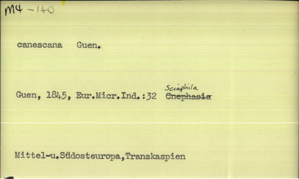 front of card